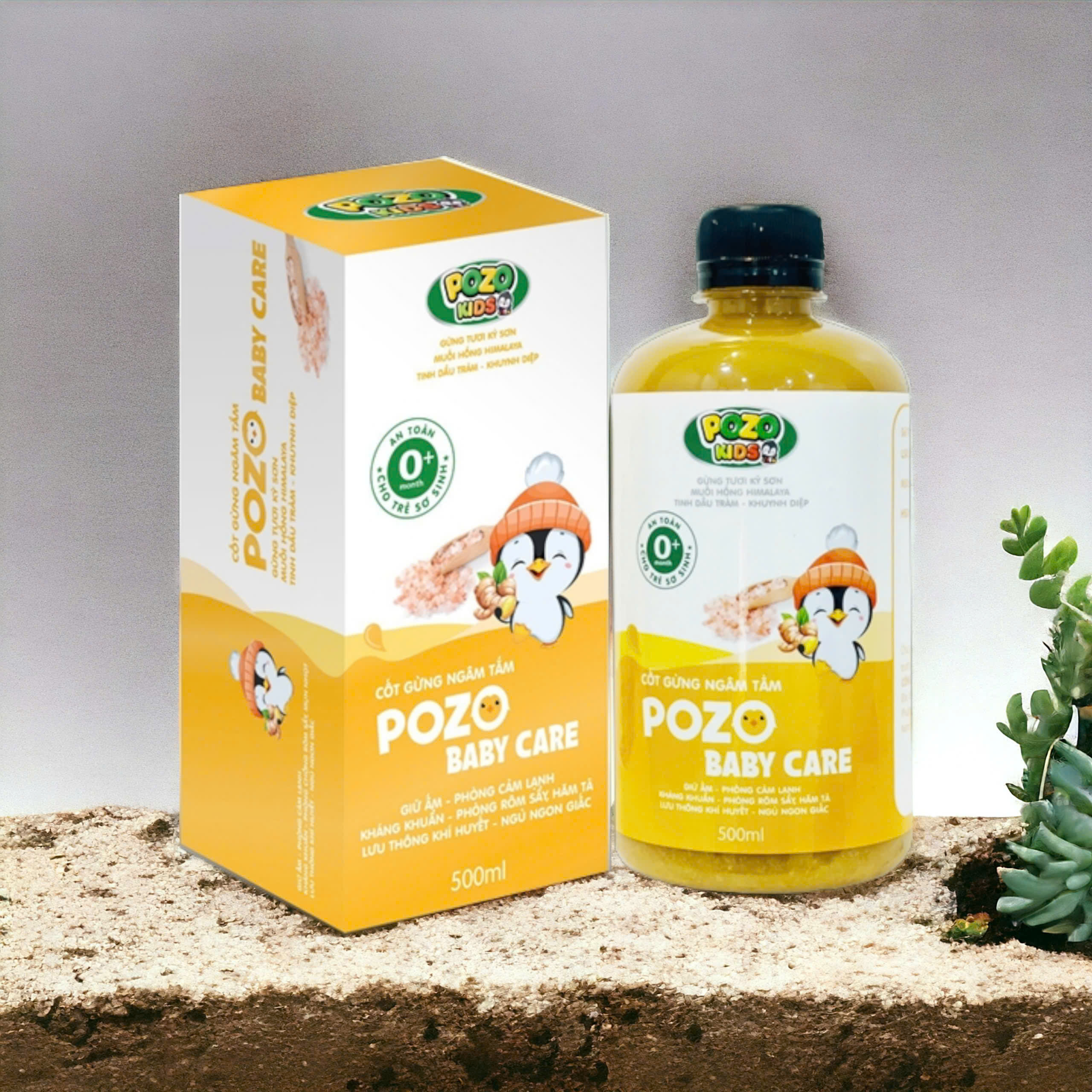 Mô tả Nước Cốt Gừng Tràm Khuynh Diệp Ngâm Chân, Tắm Bé Pozo Baby Care Hỗ Trợ Giúp Giữ Ấm, Phòng Cảm Cho Bé 500ml - 3
