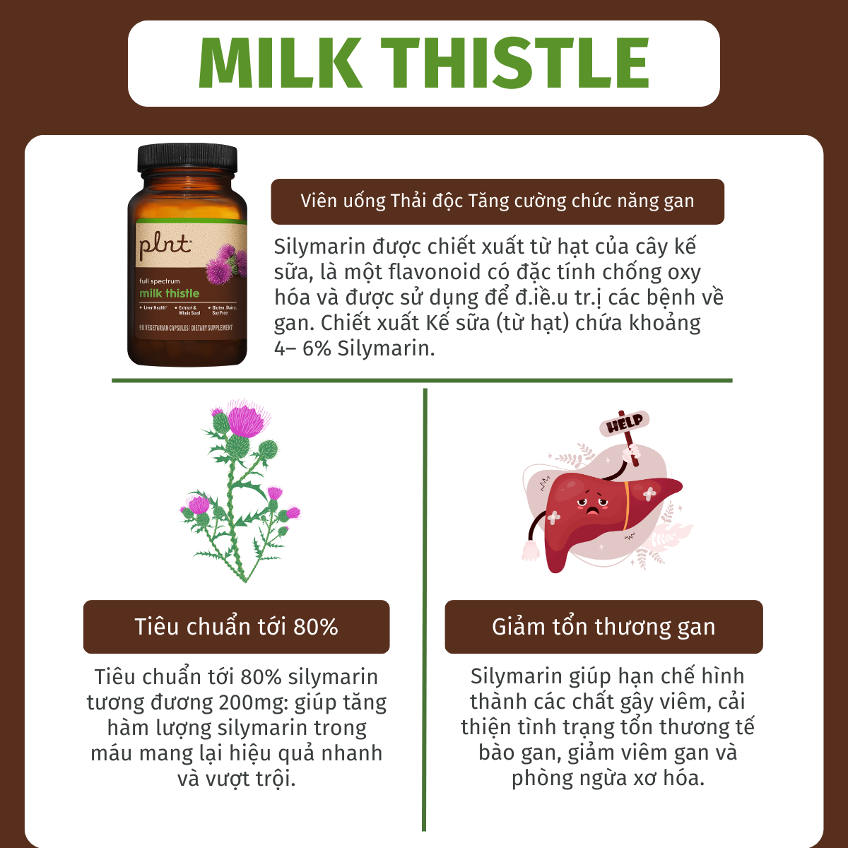 Mô tả Viên Uống Thải Độc, Tăng Cường Chức Năng Gan PLNT Milk Thistle chiết xuất kê sữa 90 viên - 2