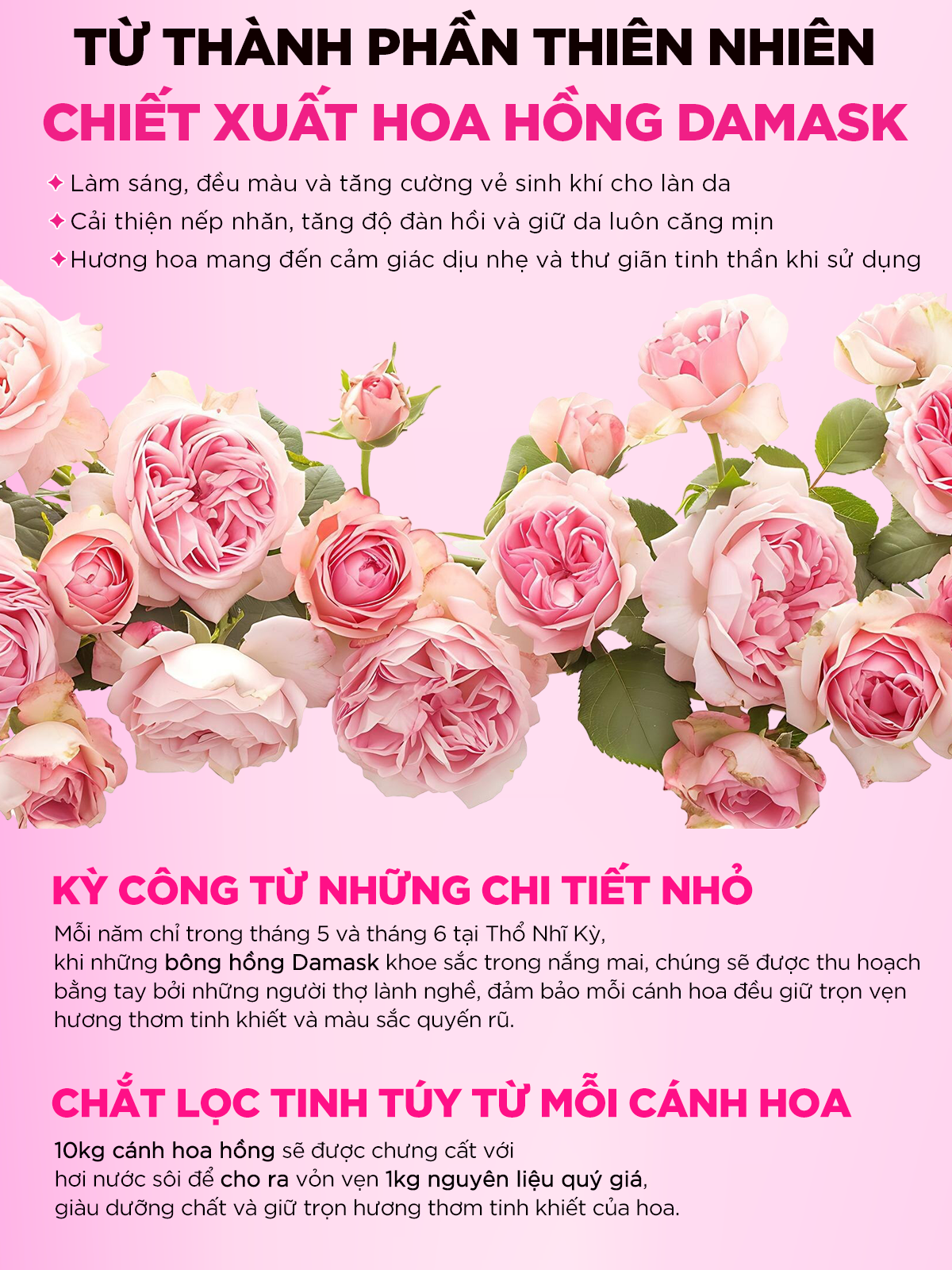 Mô tả Serum Hồng Dưỡng Sáng Căng Bóng – 37% Hoa Hồng Damask, 5% Niacinamide, HA 40ml - 5