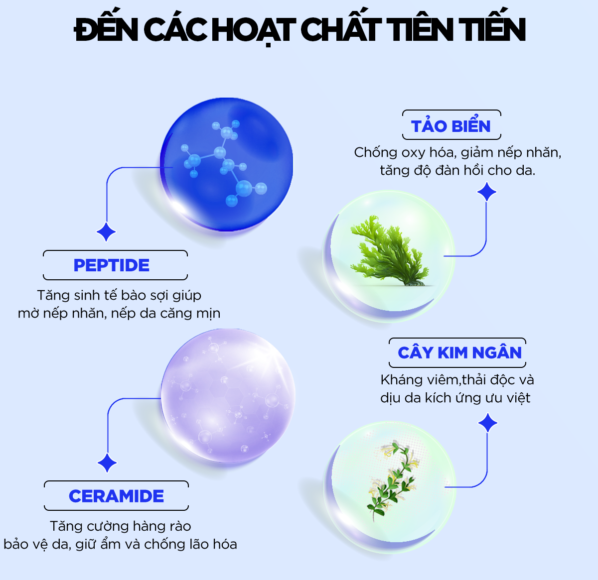 Mô tả [KOL LIVE] Serum Xanh, Cấp ẩm sâu, Hỗ trợ Mờ nếp nhăn, Ngăn ngừa lão hóa - G.G.G Wonder Glow Rejuvenating Serum 40ml - 6