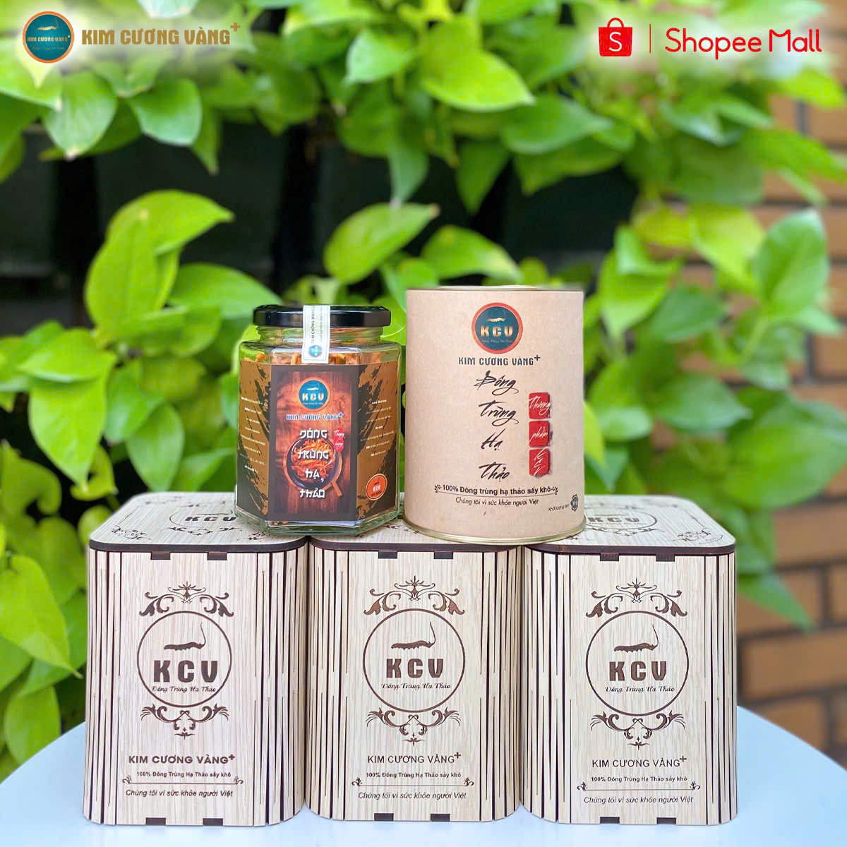 Mô tả Combo 3 Tặng 1 Đông Trùng Hạ Thảo Khô Kim Cương Vàng Tăng Cường Đề Kháng (10Gr/Hộp Gỗ) - 1