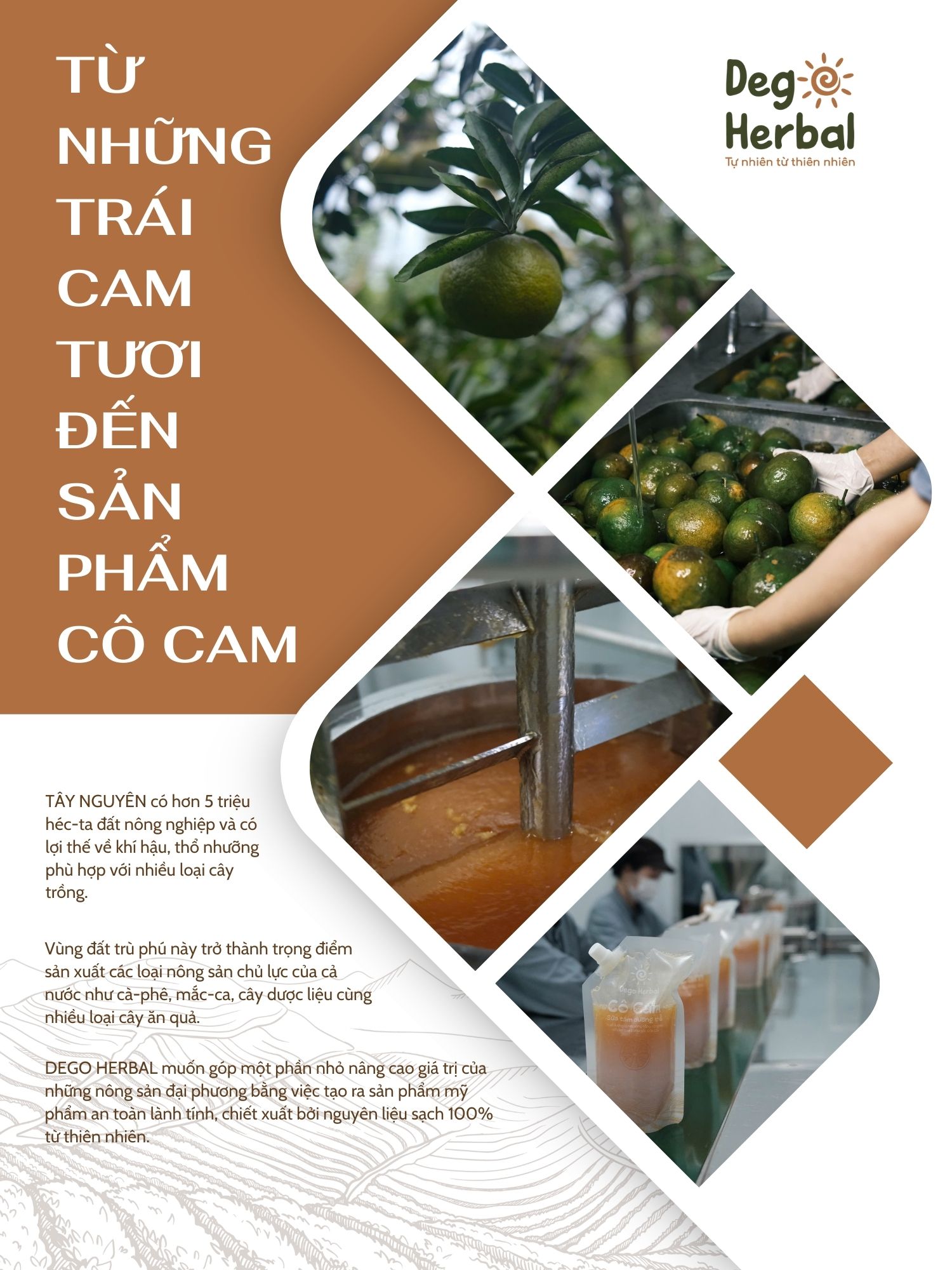 Mô tả Sữa tắm dưỡng thể Cô Cam trắng sáng da Dego 500ML - Dưỡng ẩm, mịn và sáng da - 1