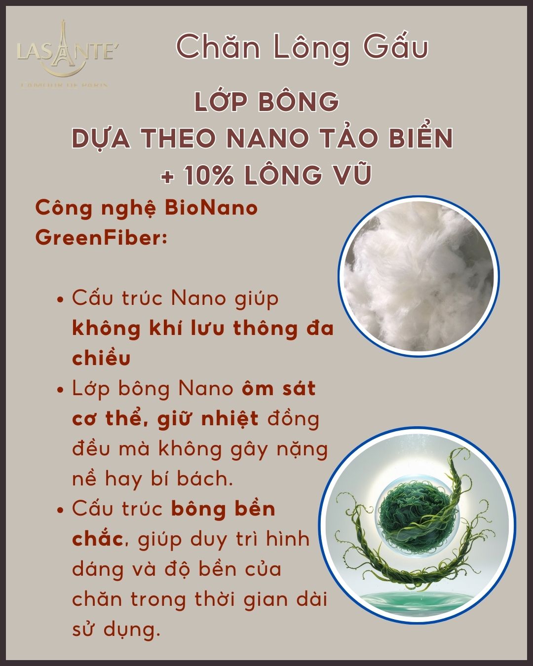 Thiết kế Chăn Lông Gấu Lasante