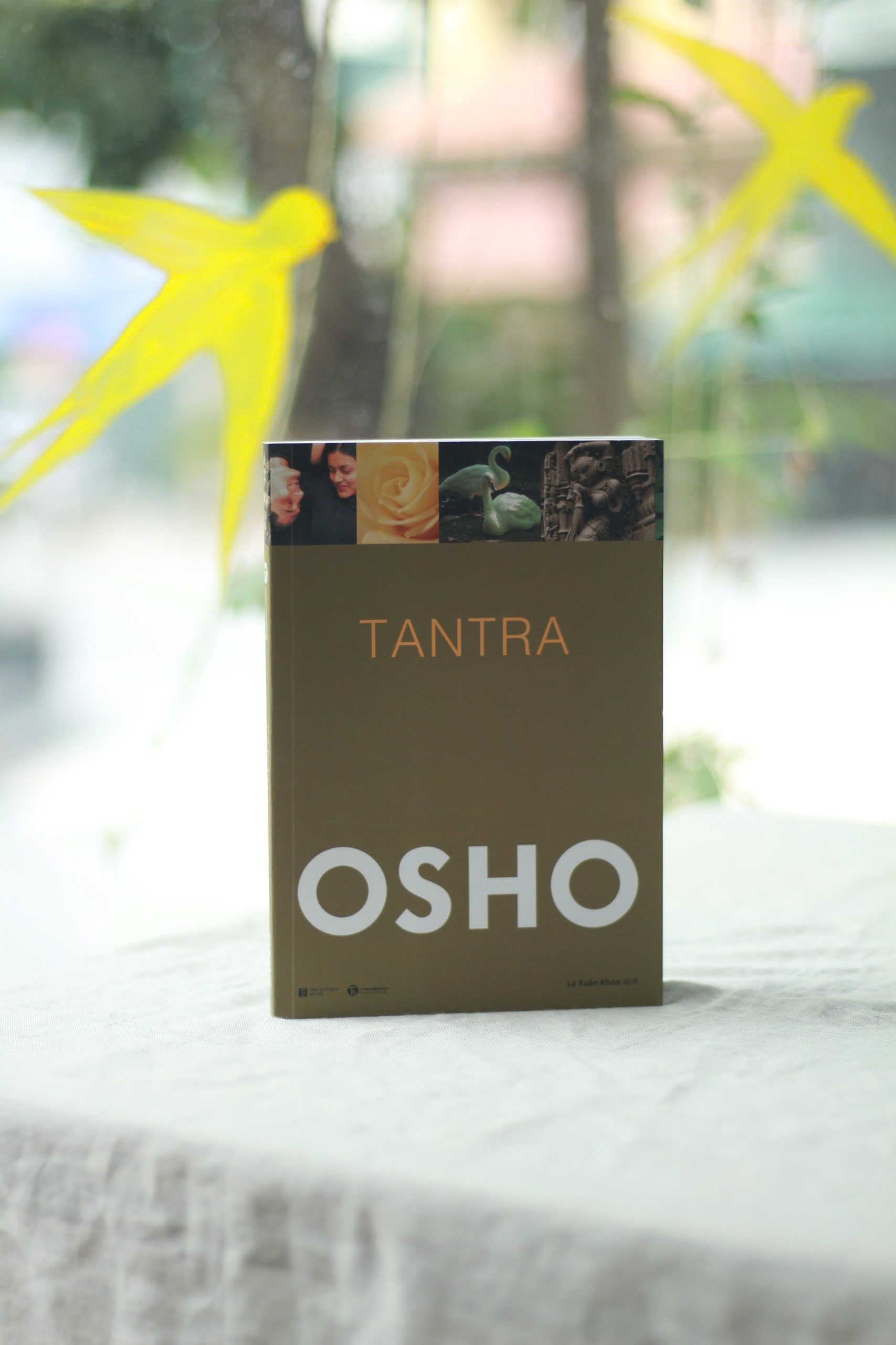 Mô tả Sách - Bộ 10 Cuốn OSHO : Đạo, Tantra, Đức Phật, Thiền, Upanishad, Đàn ông, Phụ nữ, Ươm mầm, Bản ngã, Ba bước tỉnh thức. - 2