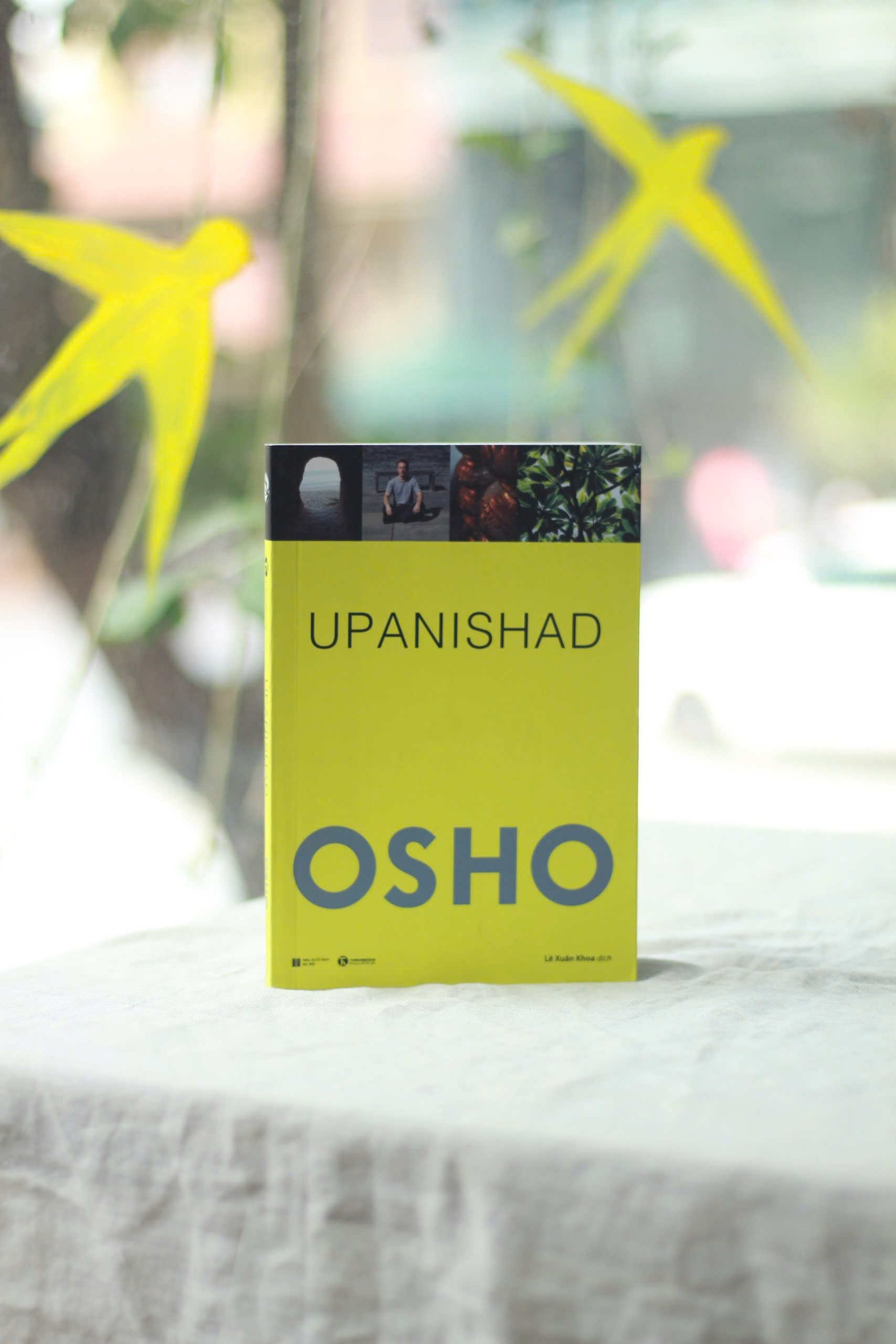 Mô tả Sách - Bộ 10 Cuốn OSHO : Đạo, Tantra, Đức Phật, Thiền, Upanishad, Đàn ông, Phụ nữ, Ươm mầm, Bản ngã, Ba bước tỉnh thức. - 5