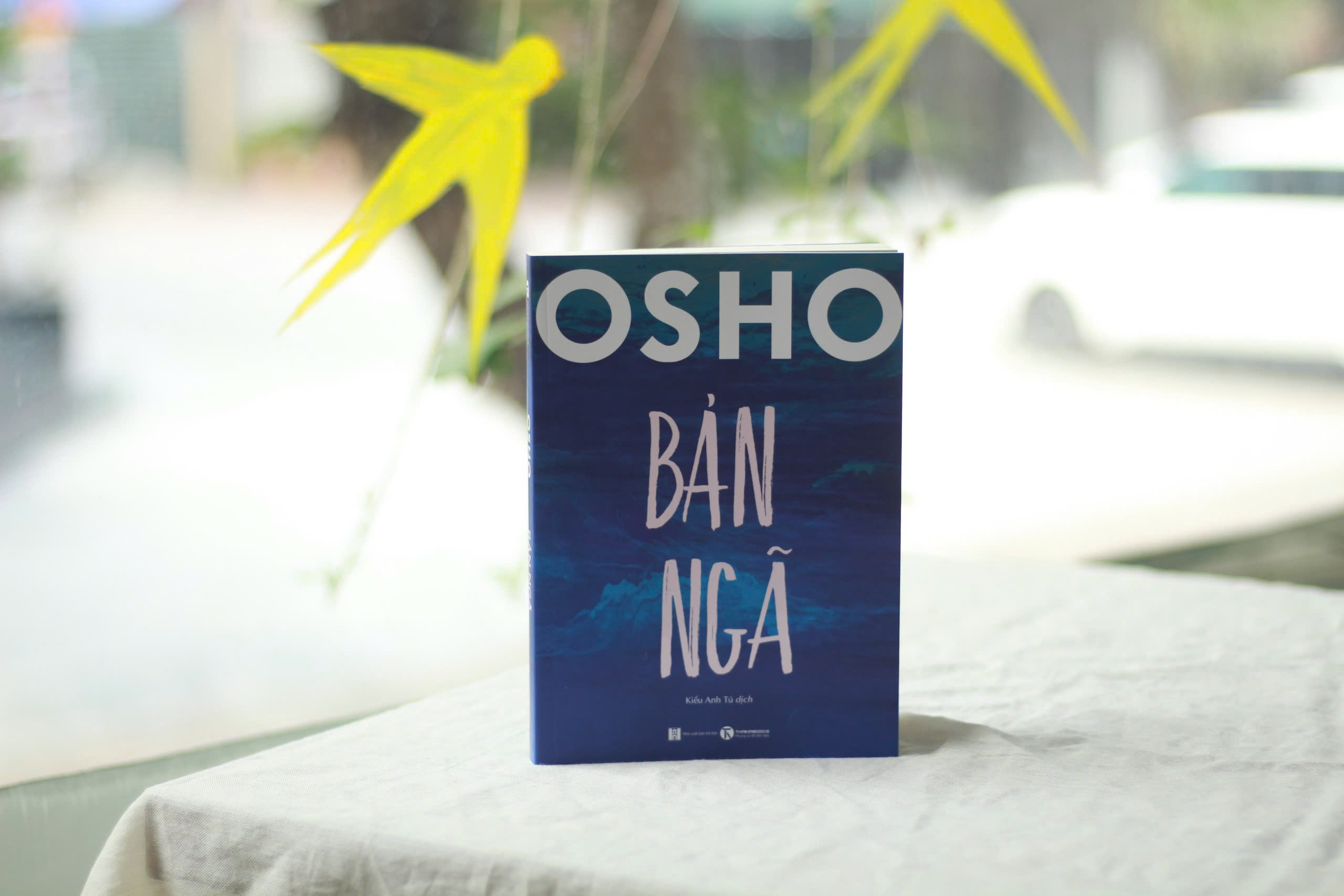 Mô tả Sách - Bộ 10 Cuốn OSHO : Đạo, Tantra, Đức Phật, Thiền, Upanishad, Đàn ông, Phụ nữ, Ươm mầm, Bản ngã, Ba bước tỉnh thức. - 9