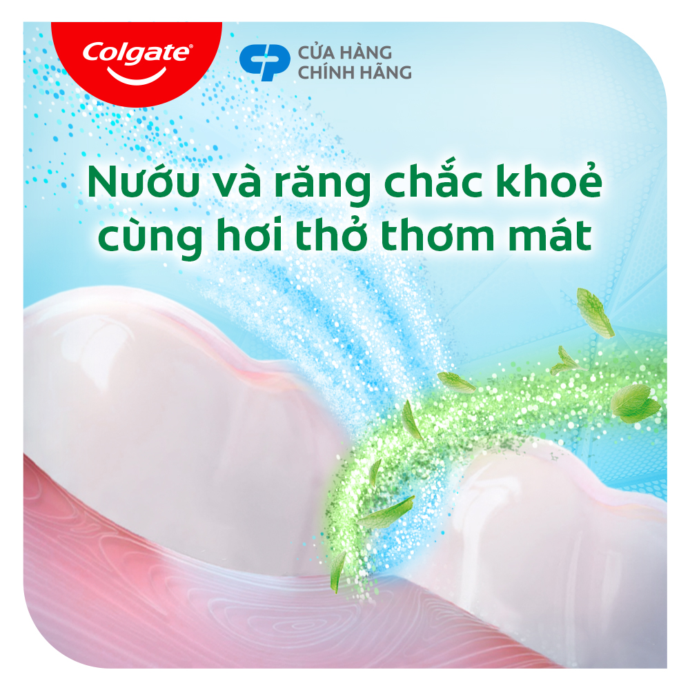 Mô tả Bộ 3 Kem Đánh Răng Colgate Herbal Salt Muối Thảo Dược bảo vệ răng và nướu tối ưu 225g/tuýp - 4