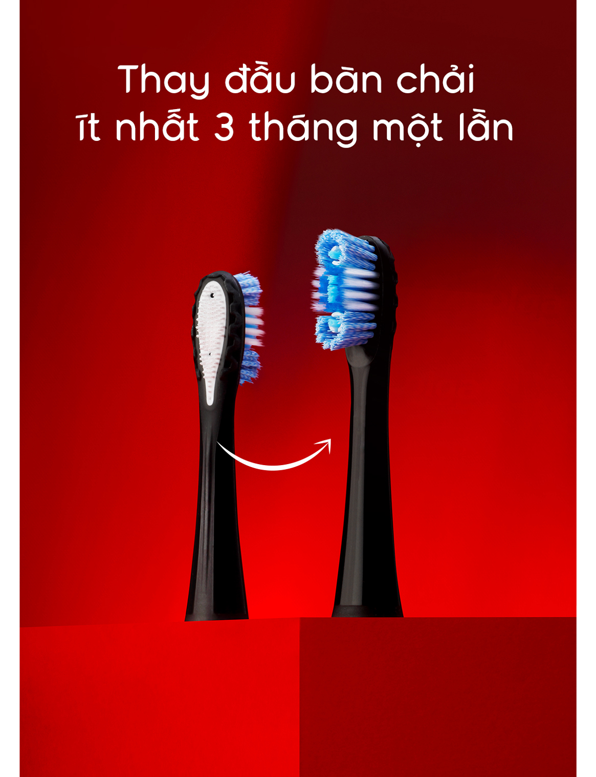 Mô tả Bộ 2 đầu thay bàn chải điện Colgate Optic White, hỗ trợ làm trắng răng (Không kèm bàn chải) - 3