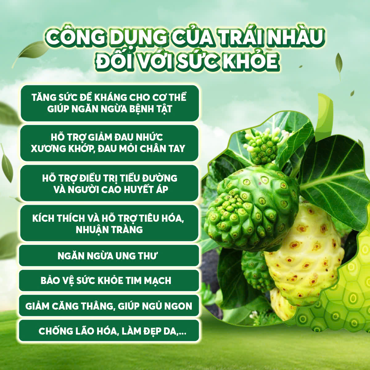 Mô tả Bột Nhàu Nguyên Chất Hương Thanh, NoNi Powder 100%, Làm Từ Quả Nhàu Chín, Giúp Bổ Xương Khớp, Tăng Đề Kháng, Hộp 500g - 1
