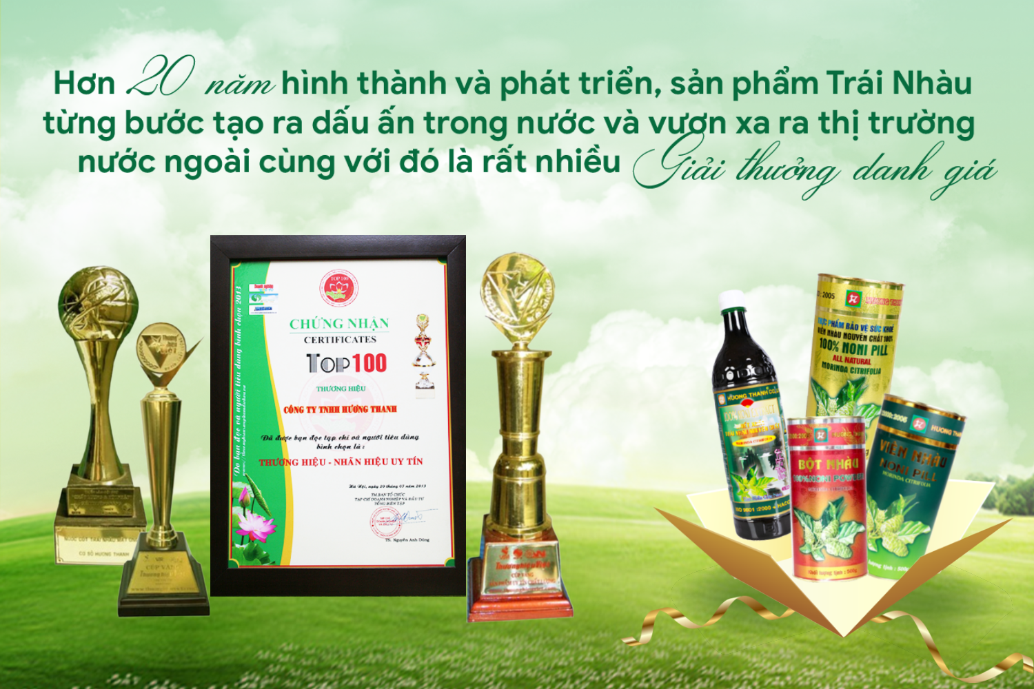 Mô tả Nước Cốt Nhàu 100% Nguyên Chất Noni Hương Thanh, Chai 1L - 6