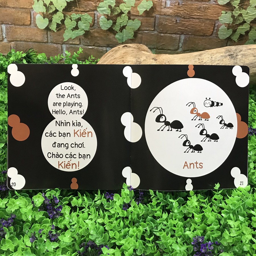 Mô tả Sách - Song Ngữ - Black and White books - Chúc Bé Ngủ Ngon (0-3 tuổi) - 2