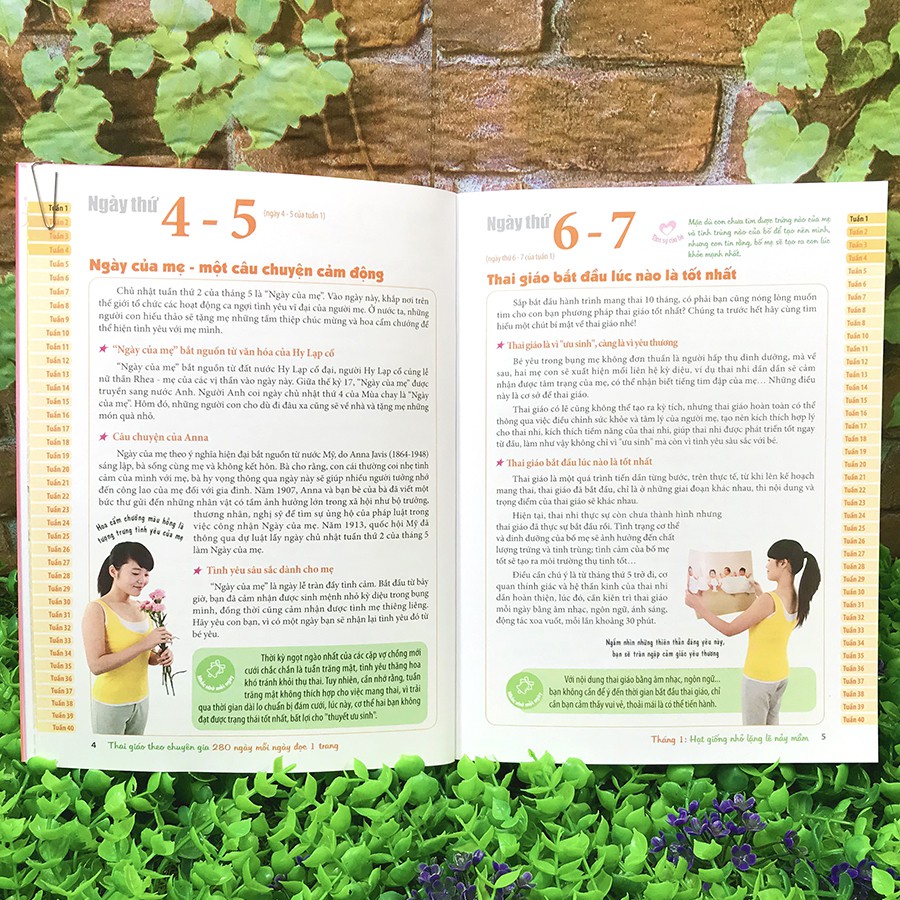 Mô tả Sách Tri Thức Thai Kì, Bách Khoa Thai Nghén Và Thai Giáo Theo Chuyên Gia 280 Ngày, Hành Trình Thai Giáo (Lẻ tùy chọn) - 2