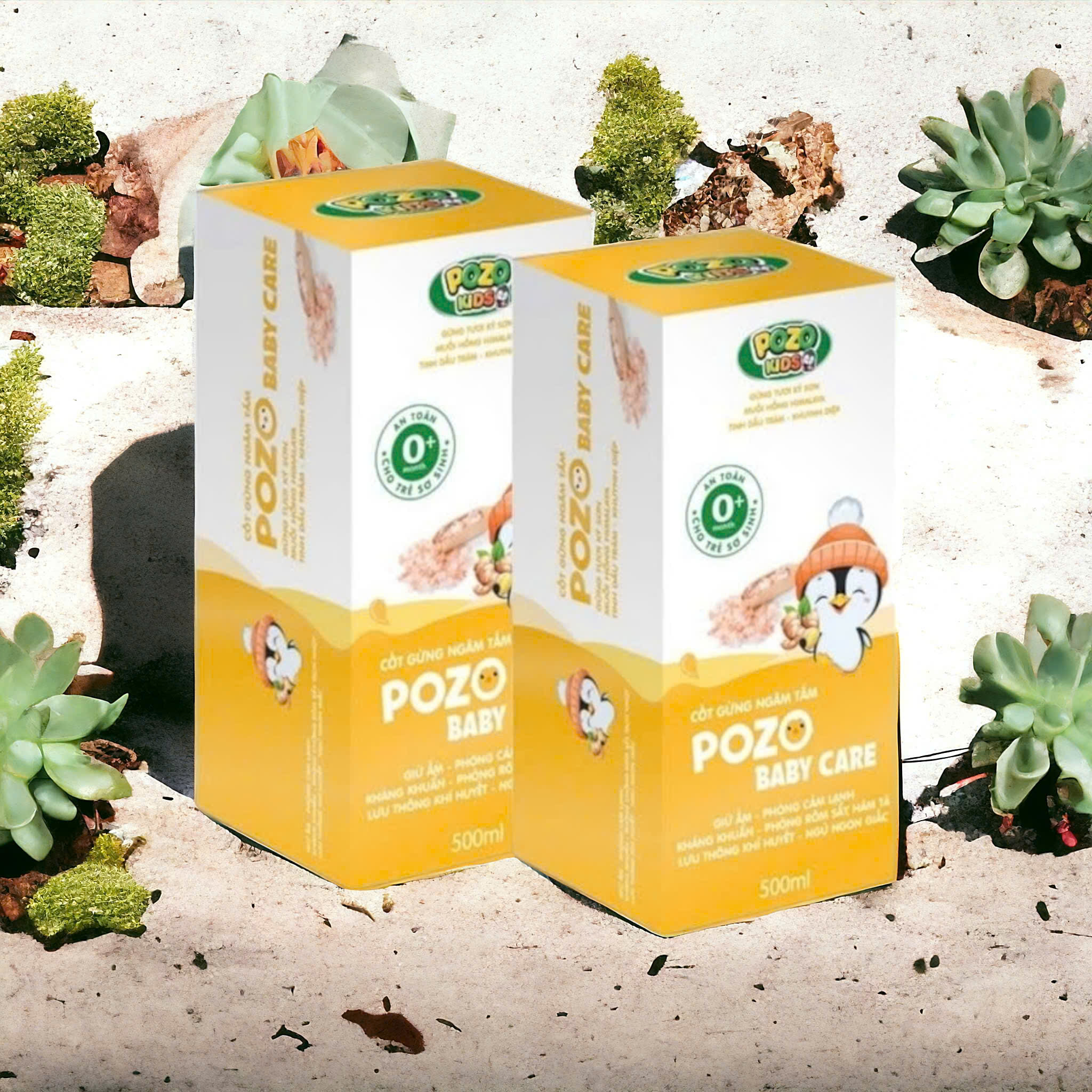 Mô tả Nước Cốt Gừng Pozokid Giữ Ấm Cho Bé COMBO 2 HỘP TIẾT KIỆM - 6