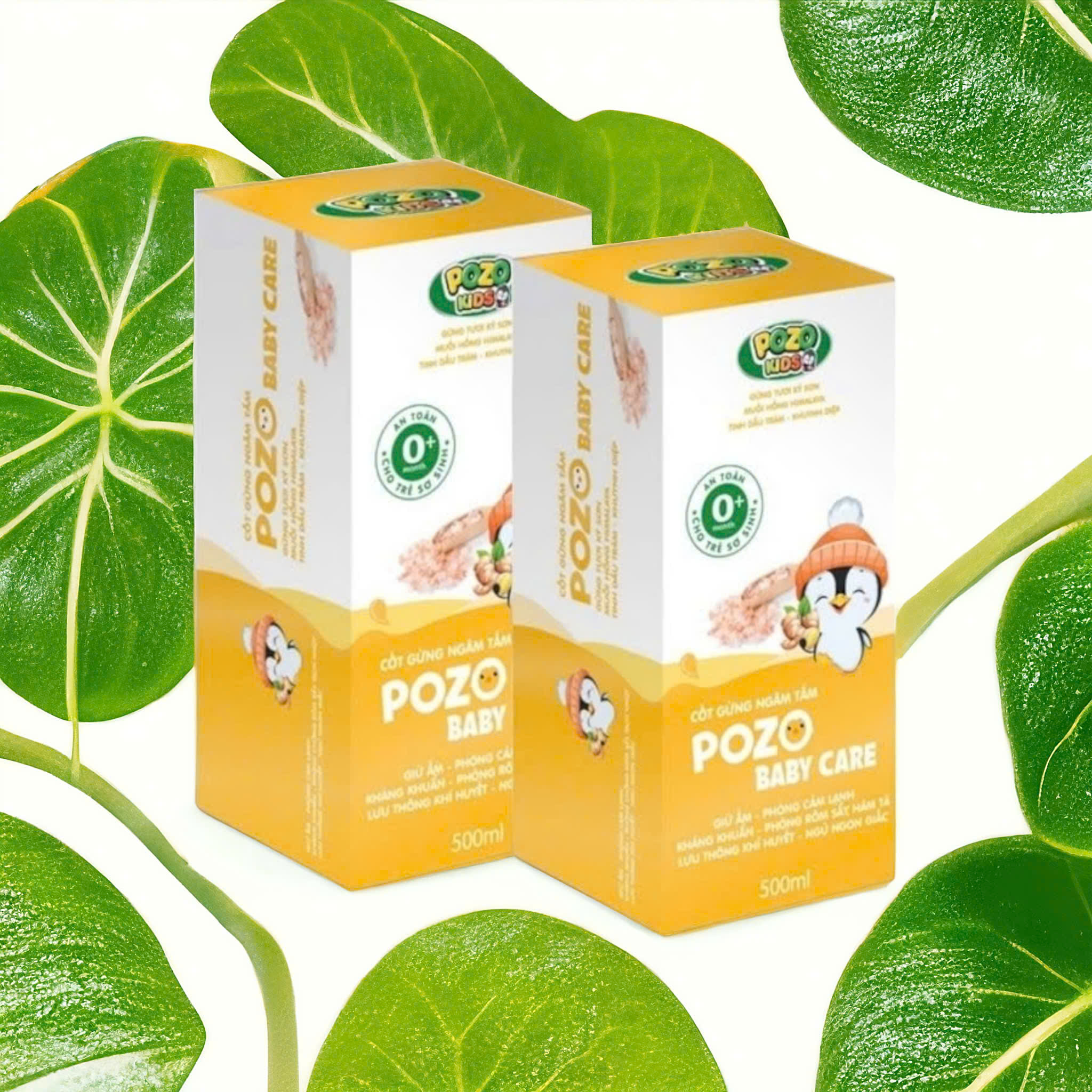 Mô tả Nước Cốt Gừng Pozokid Giữ Ấm Cho Bé COMBO 2 HỘP TIẾT KIỆM - 7