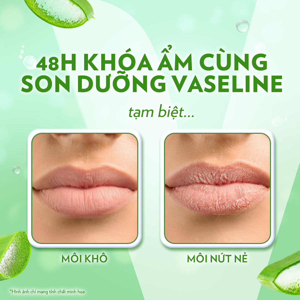 Mô tả Son Dưỡng Môi Lô Hội Vaseline Stick 4.8g - 4