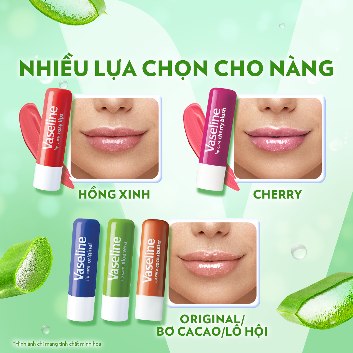 Mô tả Son Dưỡng Môi Lô Hội Vaseline Stick 4.8g - 6