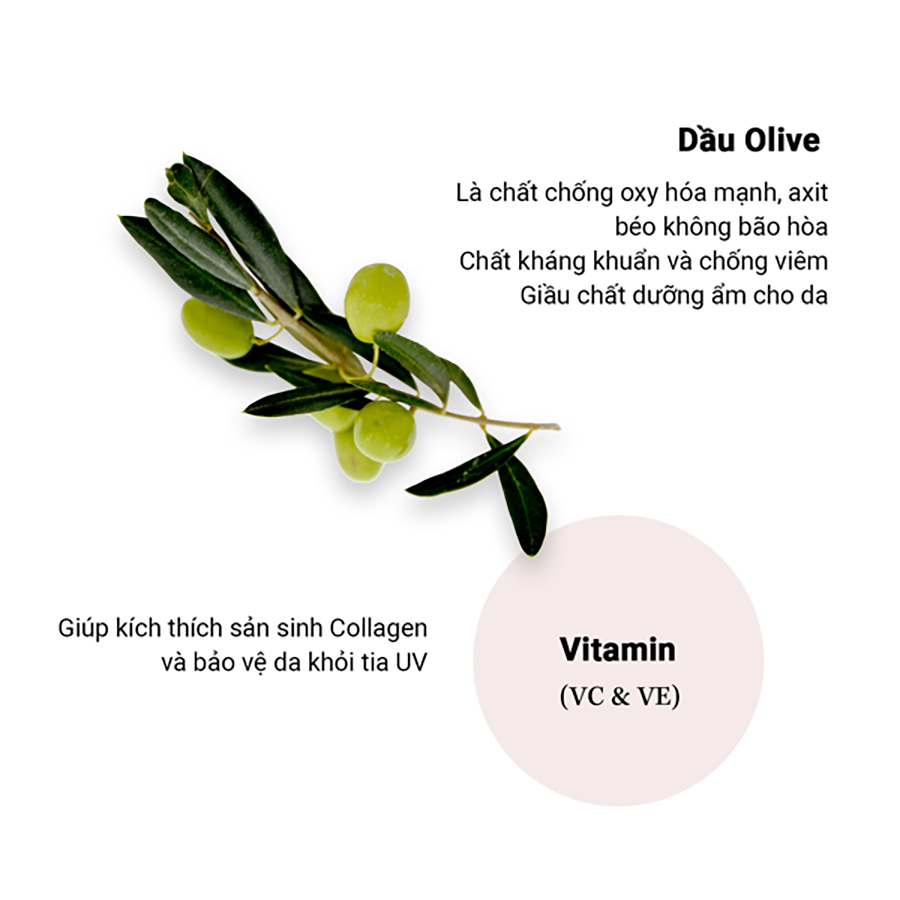 Mô tả Hộp Quà Tặng Sức Khỏe Genki Fami Nhật Bản Omega 3, Natto Ichou và Shiro Hada - 6