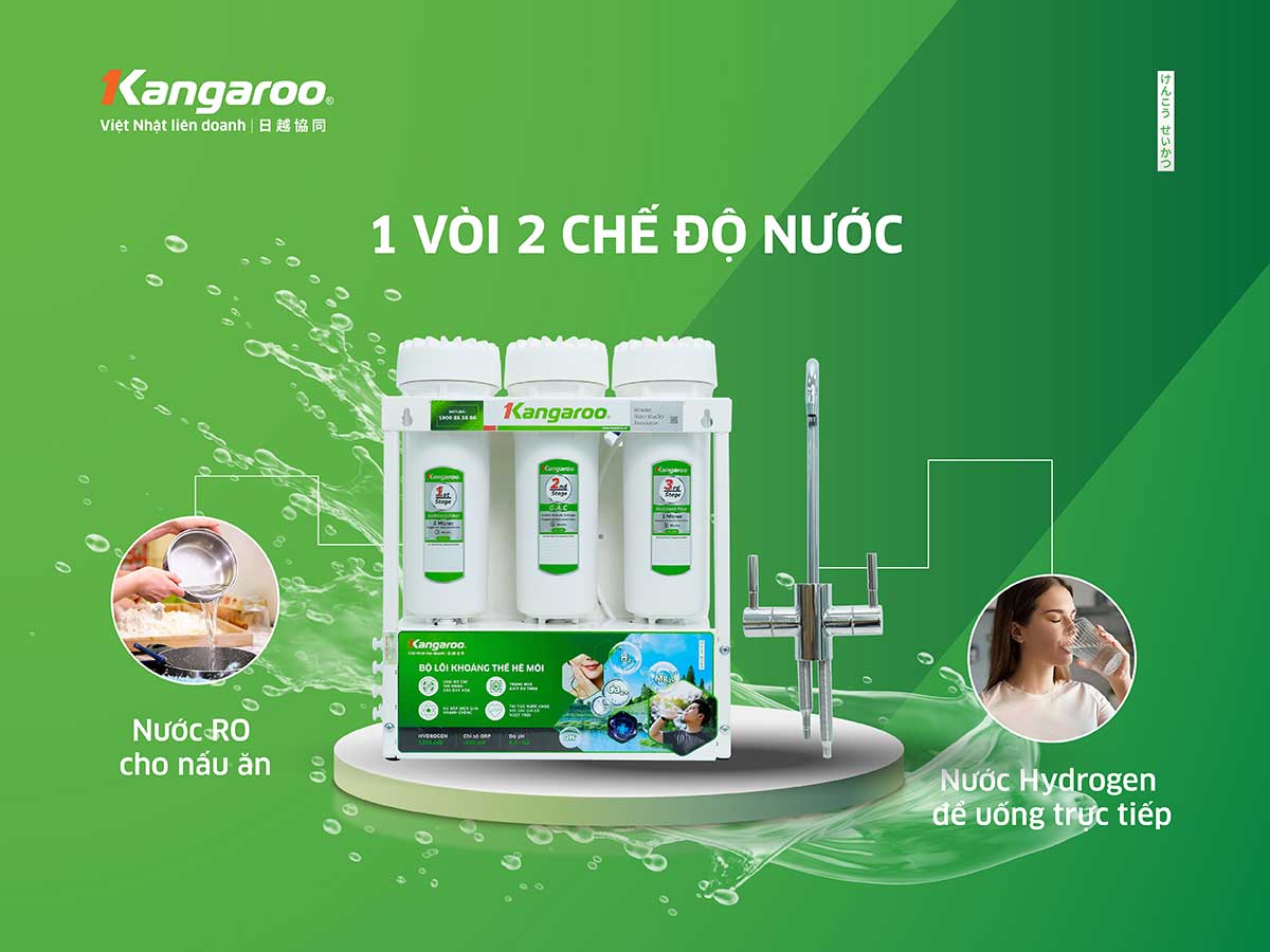 Máy Lọc Nước Kangaroo KGHP12K
