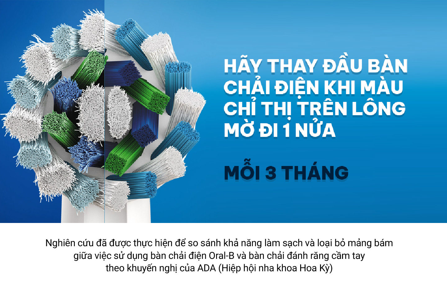 Mô tả Đầu bàn chải thay thế Oral-B (1 vỉ - 2 cái). Hàng chính hãng 100% - 4