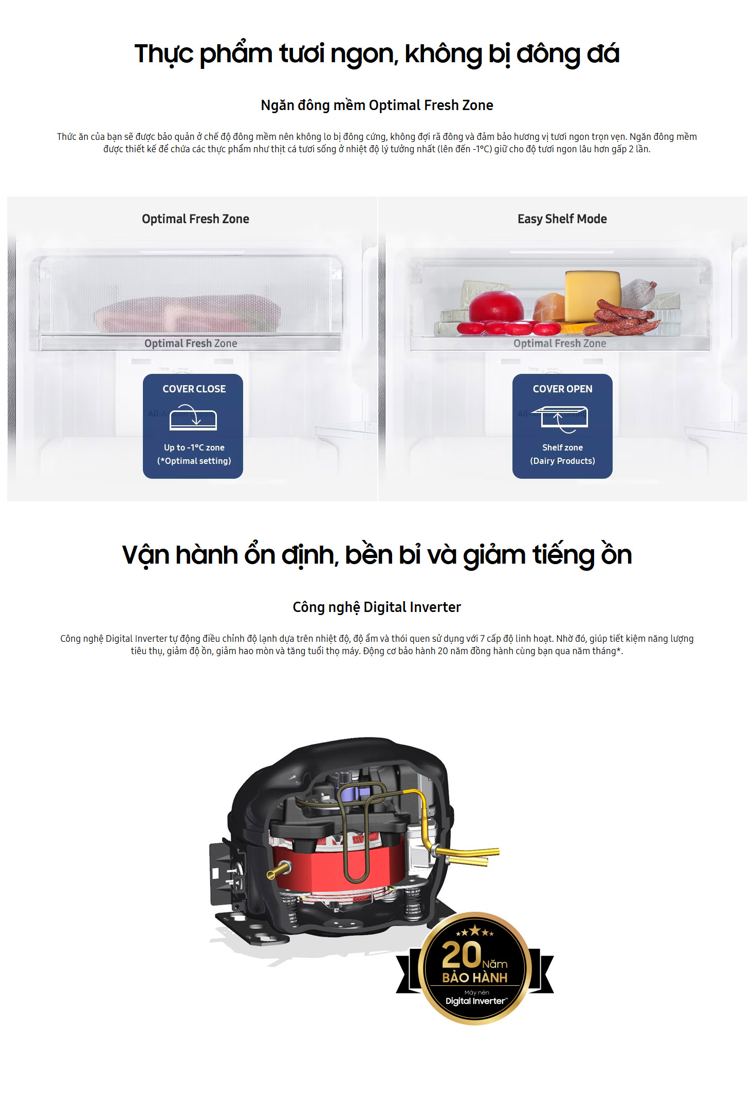 Mô tả Tủ Lạnh Samsung Ngăn Đông Trên với Digital Inverter 243L màu Nâu Starry RT22M4032BY/SV - 1