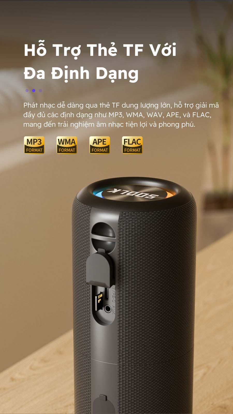 Loa SODLK TX9 phụ kiện
