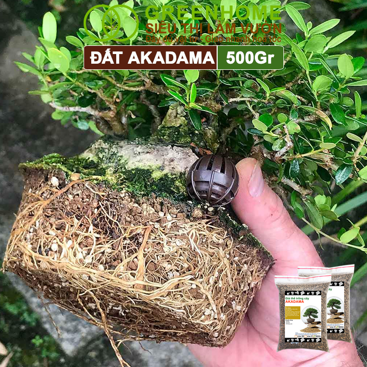 Akadama phù hợp trồng sen đá