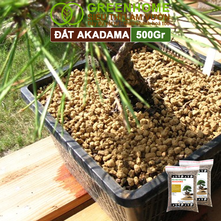 Akadama cho bể thủy sinh