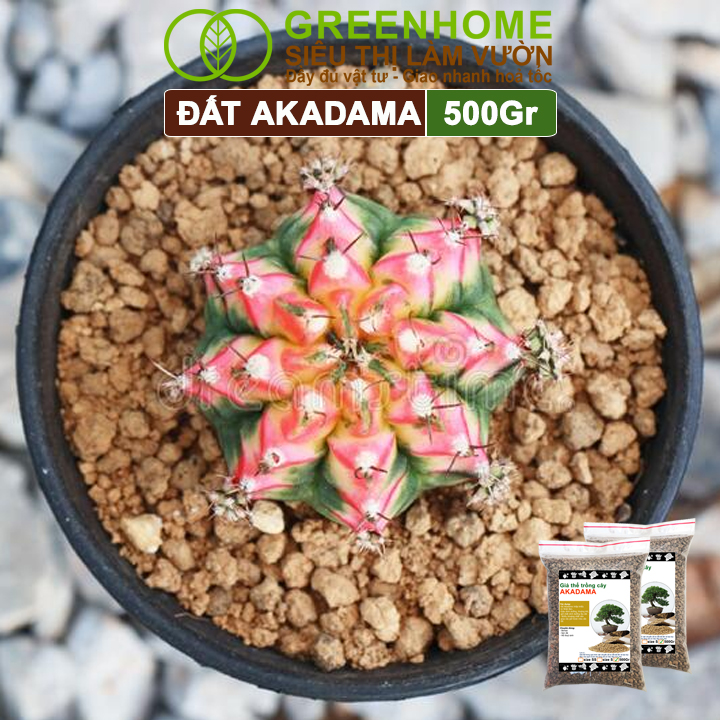 Akadama nhẹ và thoáng khí