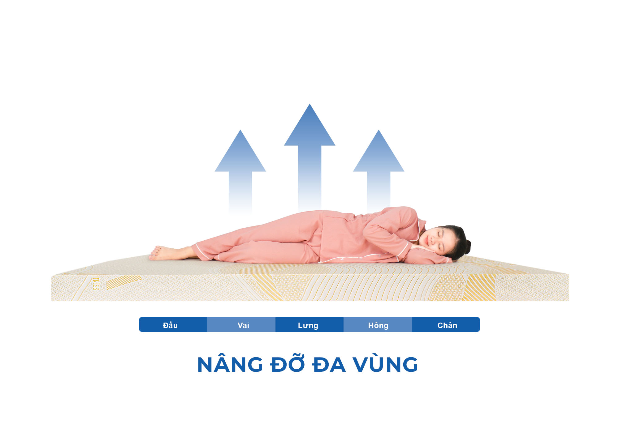 Mô tả Nệm Bông Ép Gấp 3 Aroma Fiber Không Nóng Lưng, Nệm Cứng Không Võng Lưng, Bảo Hành 10 Năm - 7