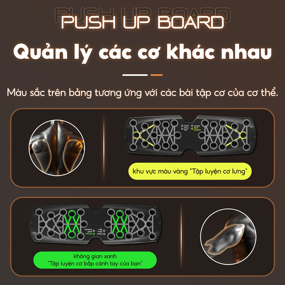 Mô tả KOL - BG-Dụng Cụ Tập Hít Đất Chống Đẩy Có Vạch Kẻ Màu Theo Nhóm Cơ Rh003 - 3