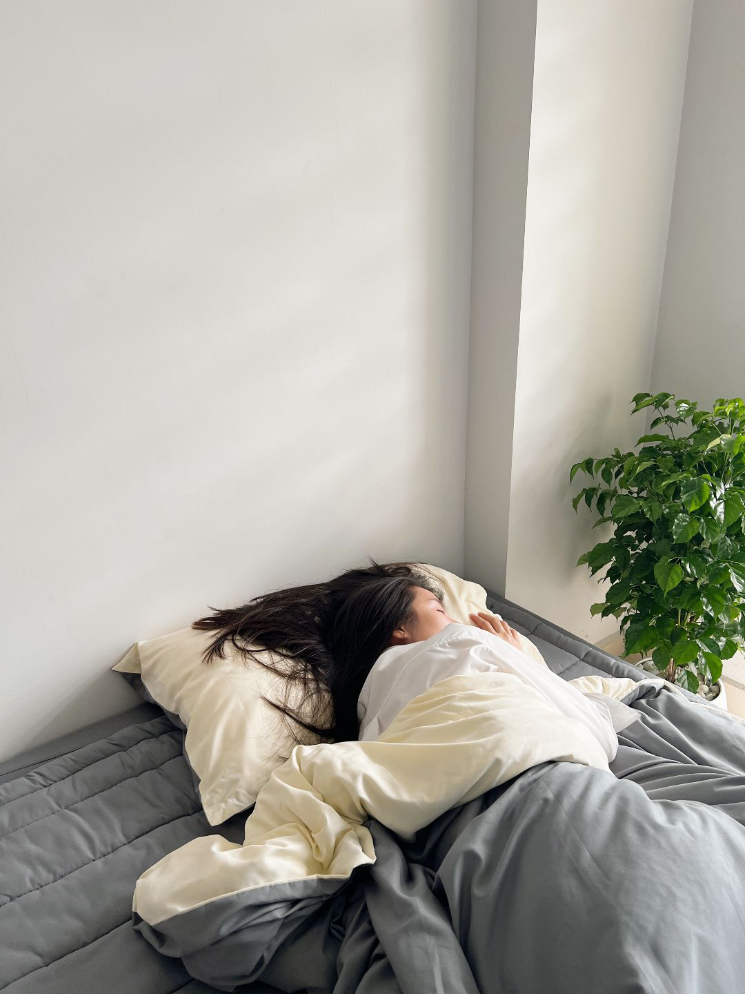 Mô tả Bộ chăn mền ga gối & tấm trải nệm GONI Tici cho nệm 1mx2m, 1m2x2m, 1m4x2m, 1m6x2m, 1m8x2m, 2m2x2m - 1