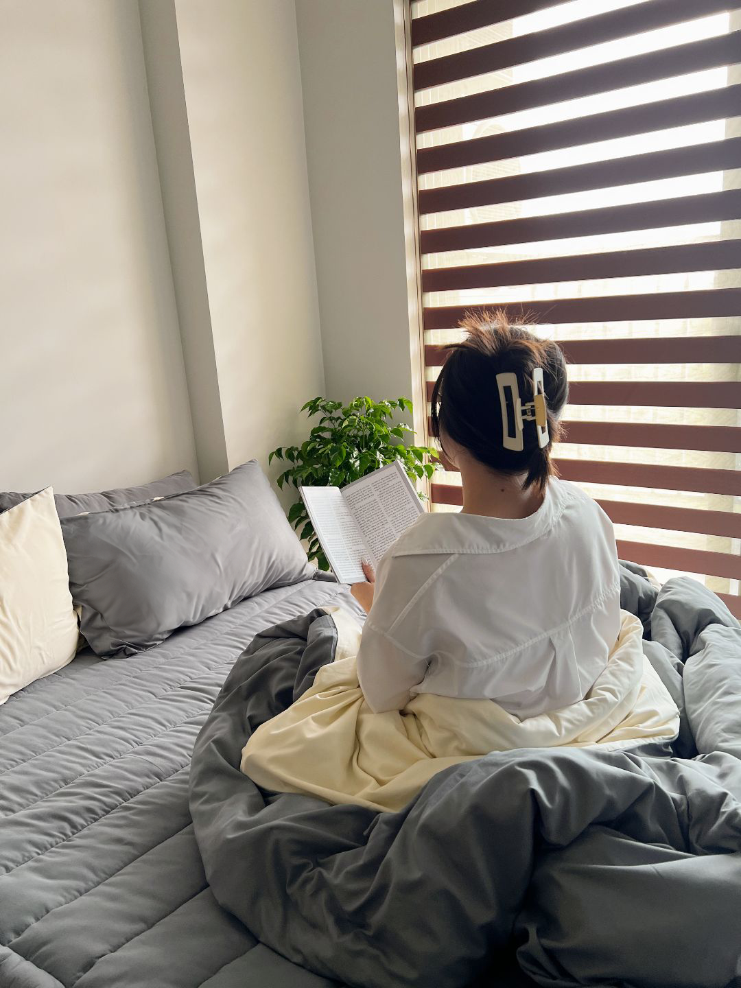 Ga giường GONI Tici