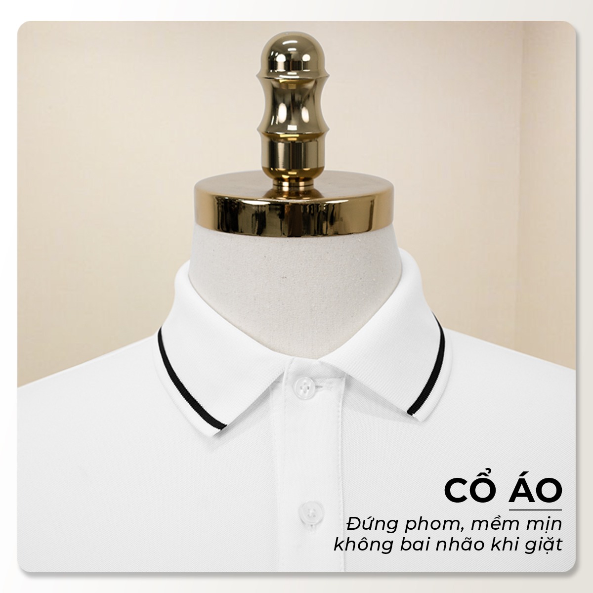 Phom áo polo nam SIXMEN Basic Trơn Viền