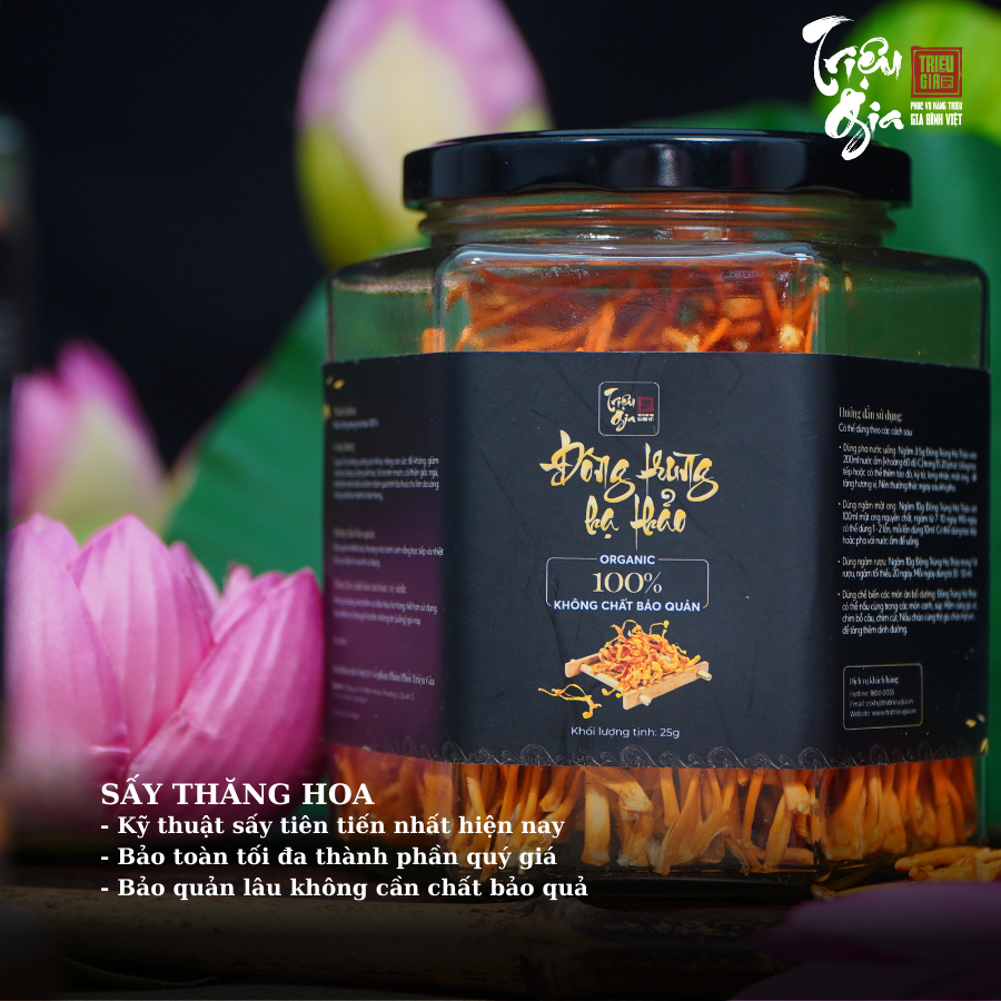 Mô tả Đông trùng hạ thảo tự nhiên sấy thăng hoa Triệu Gia tăng cường sức khỏe cải thiện lão hóa - 4