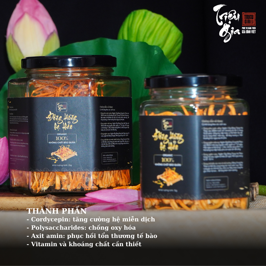 Mô tả Đông trùng hạ thảo tự nhiên sấy thăng hoa Triệu Gia tăng cường sức khỏe cải thiện lão hóa - 5