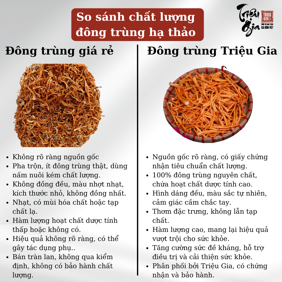 Mô tả Đông trùng hạ thảo tự nhiên sấy thăng hoa Triệu Gia tăng cường sức khỏe cải thiện lão hóa - 8