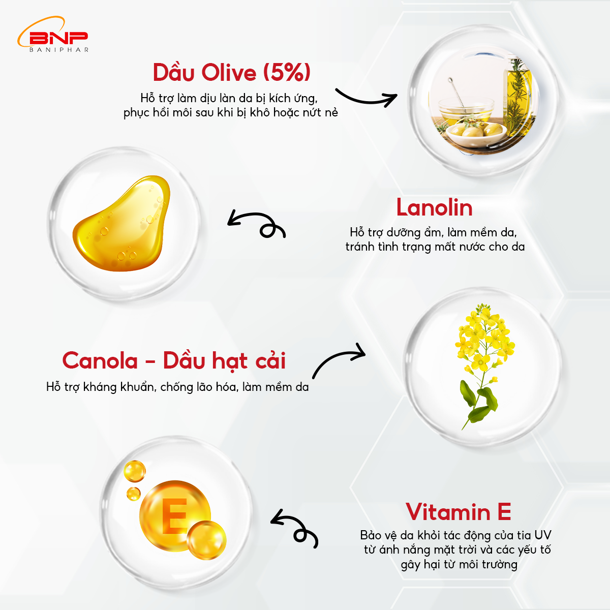 Mô tả Son Dưỡng Môi Ziaja Olive Oil Lip Balm Giúp Bờ Môi Tươi Sáng, Sắc Hồng Tự Nhiên, Dưỡng Ẩm, Ngăn Ngừa Nứt Nẻ 10ml - 2
