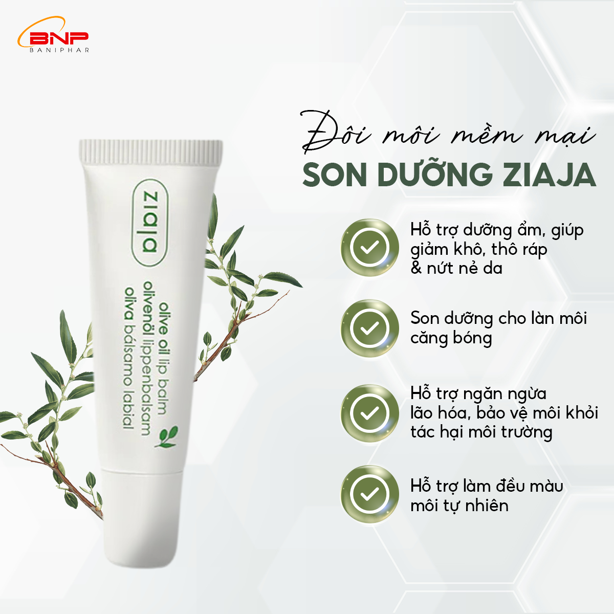 Mô tả Son Dưỡng Môi Ziaja Olive Oil Lip Balm Giúp Bờ Môi Tươi Sáng, Sắc Hồng Tự Nhiên, Dưỡng Ẩm, Ngăn Ngừa Nứt Nẻ 10ml - 1