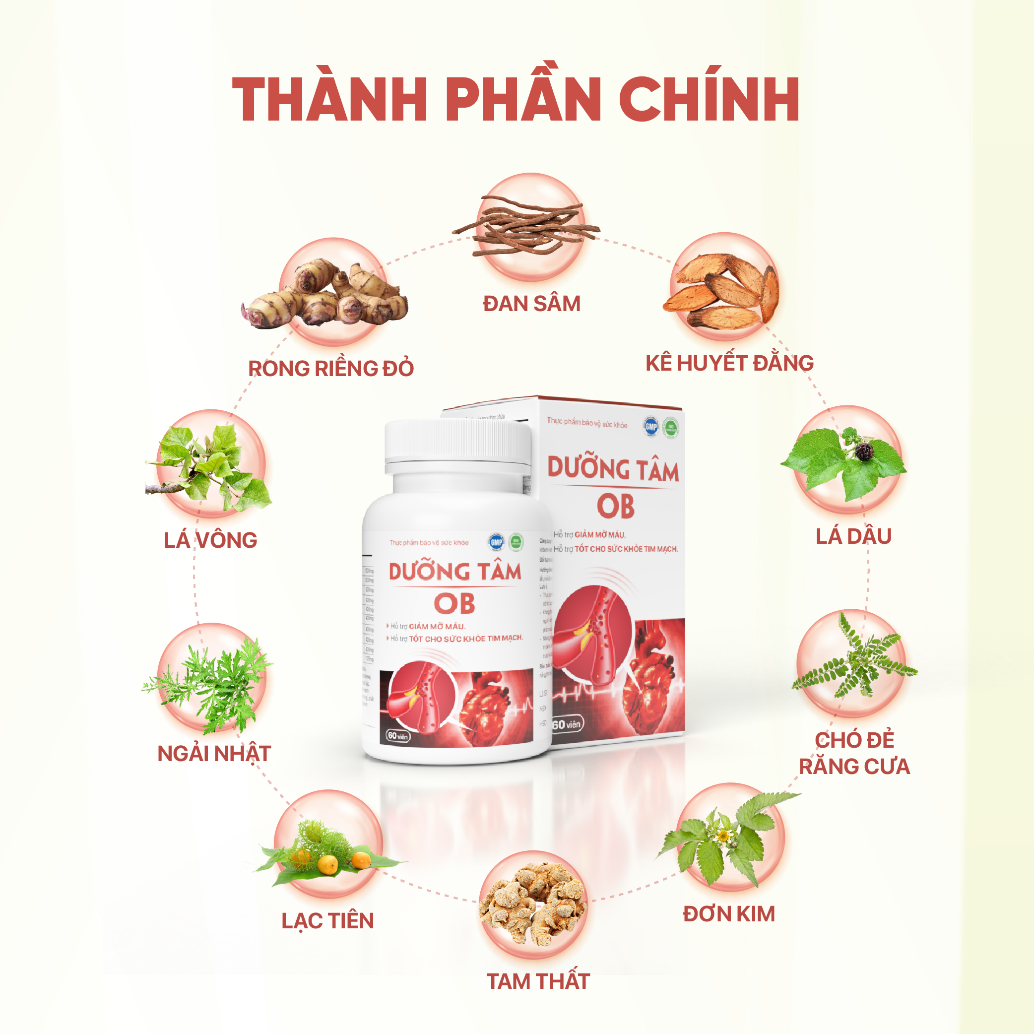 Mô tả Giảm mỡ máu, ngừa tai biến Dưỡng tâm Ob, Tốt Cho Tim Mạch, Huyết Áp( Hộp 60 viên) - 4