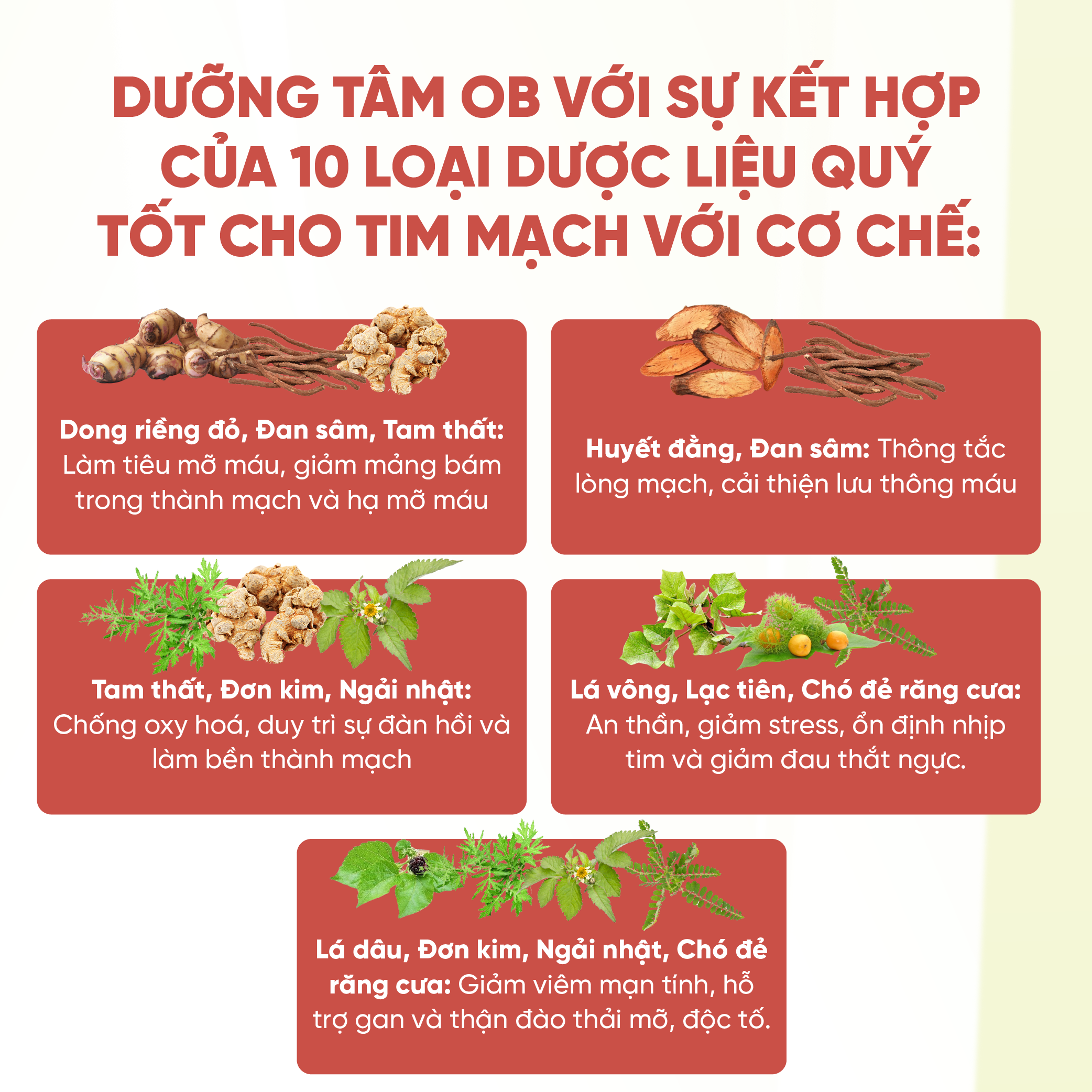 Mô tả Giảm mỡ máu, ngừa tai biến Dưỡng tâm Ob, Tốt Cho Tim Mạch, Huyết Áp( Hộp 60 viên) - 3