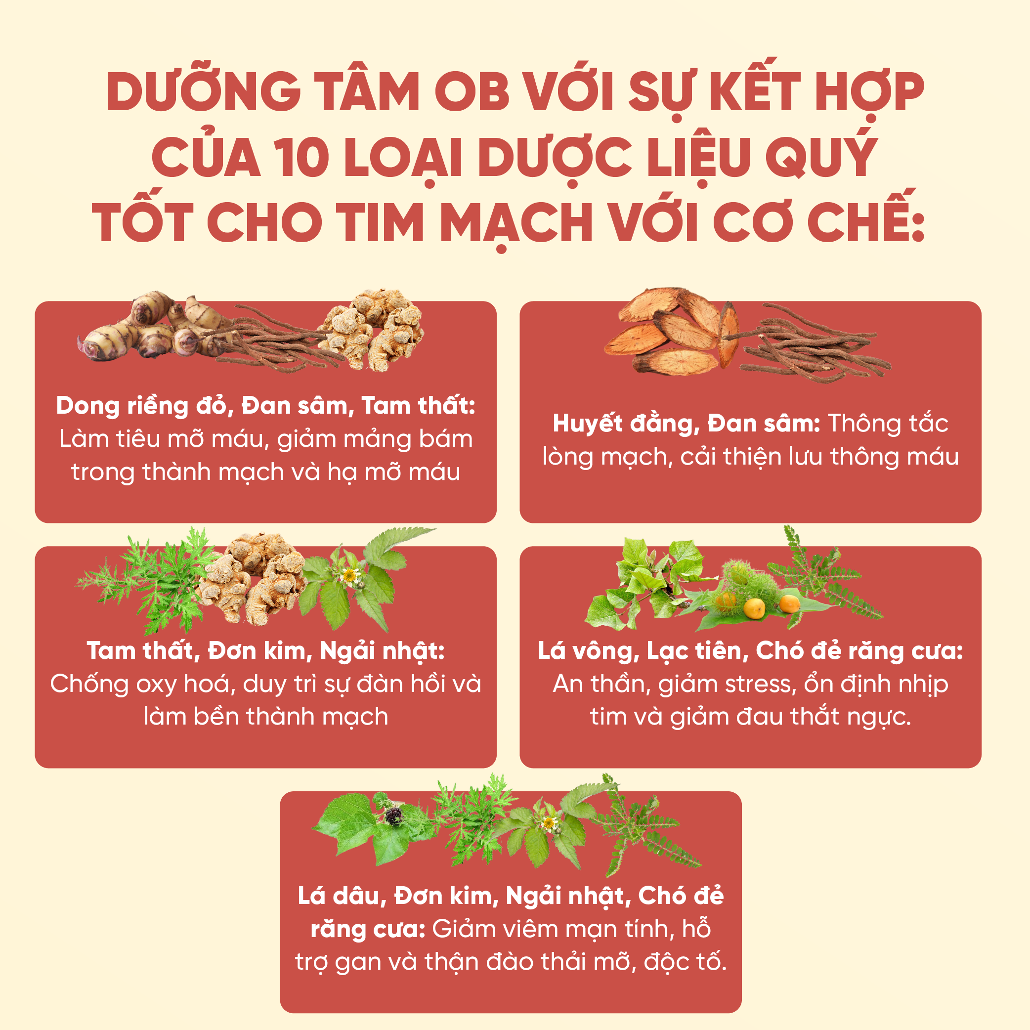Mô tả Viên uống Dưỡng Tâm OB Hỗ Trợ Giảm Mỡ Máu, Cải Thiện Sức Khỏe Tim Mạch ( Hộp 60 viên) - ZLove - DTOB - 4