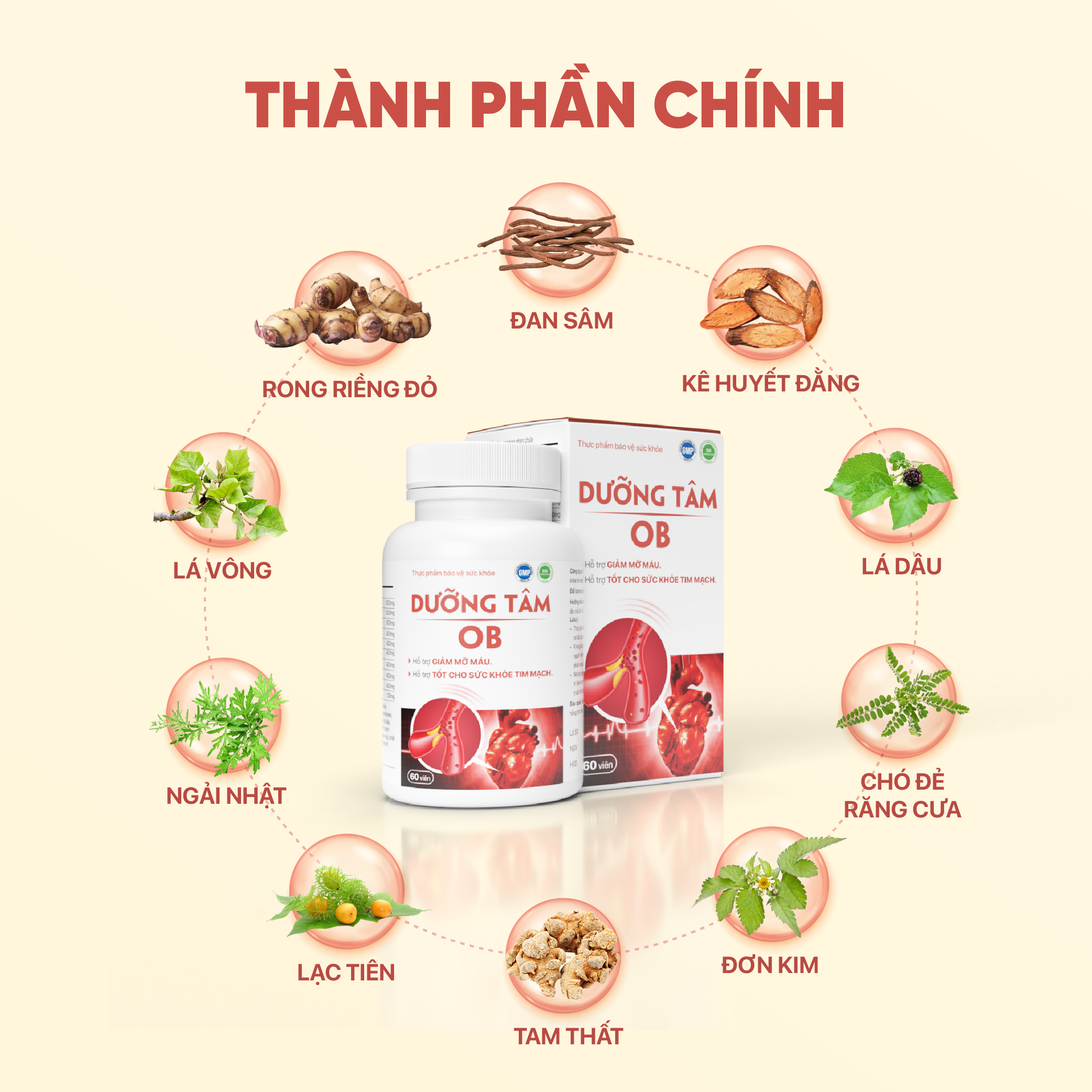 Mô tả Viên uống Dưỡng Tâm OB Hỗ Trợ Giảm Mỡ Máu, Cải Thiện Sức Khỏe Tim Mạch ( Hộp 60 viên) - ZLove - DTOB - 6