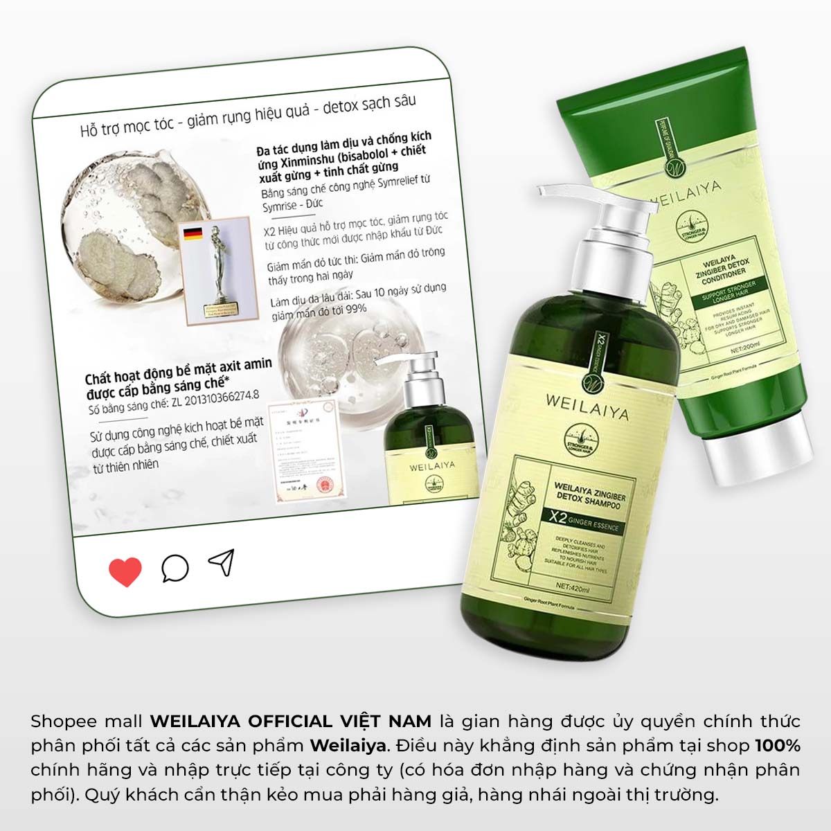 Mô tả Bộ gội xả gừng Vân Nam cao cấp Weilaiya Luxury x2 hỗ trợ mọc tóc, giảm gãy rụng chống lão hóa da đầu - 3