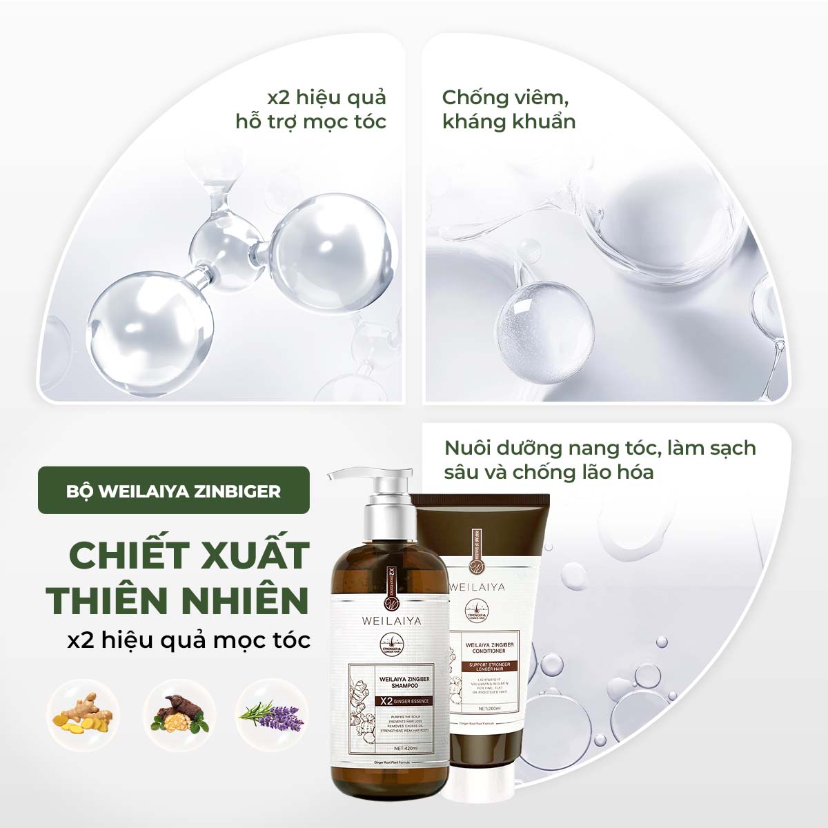 Mô tả Bộ gội xả tinh chất gừng hà thủ ô cao cấp Weilaiya Luxury giúp mọc tóc và phục hồi tóc hư tổn - 5
