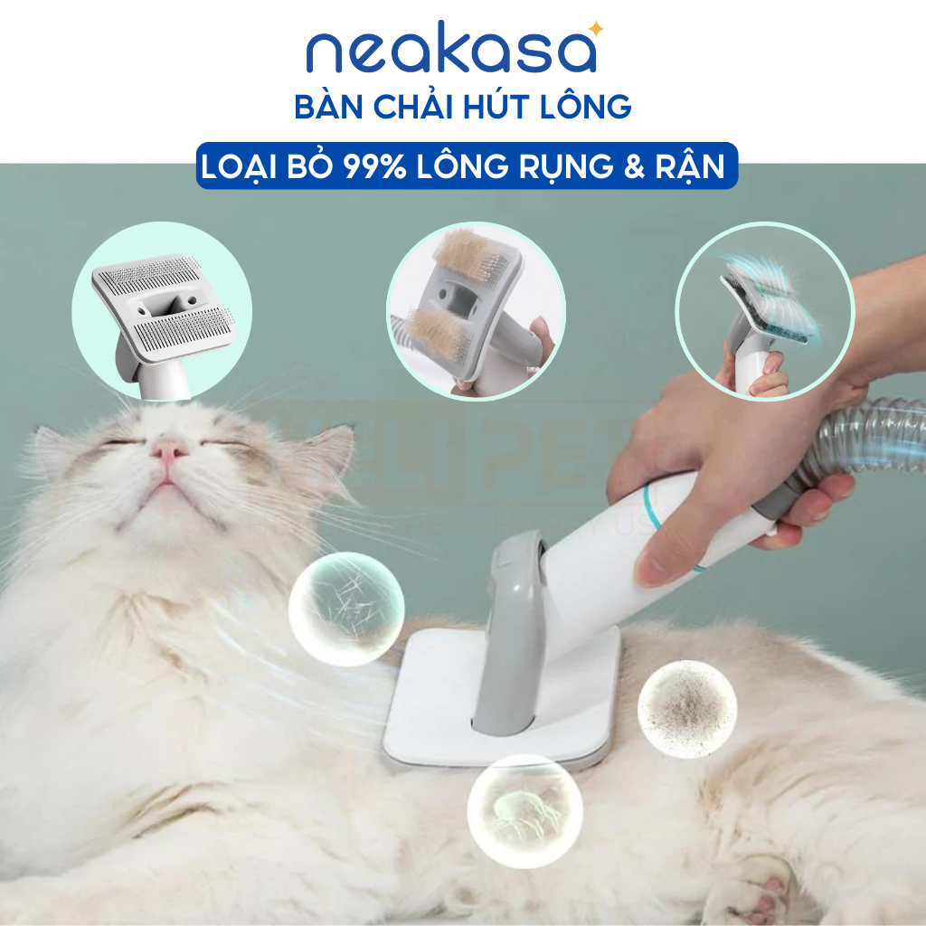 Cách sử dụng Neakasa P1 Pro chải lông cho chó