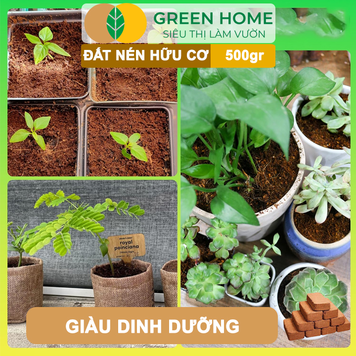 Đất nén Greenhome sạch sẽ tiệt trùng