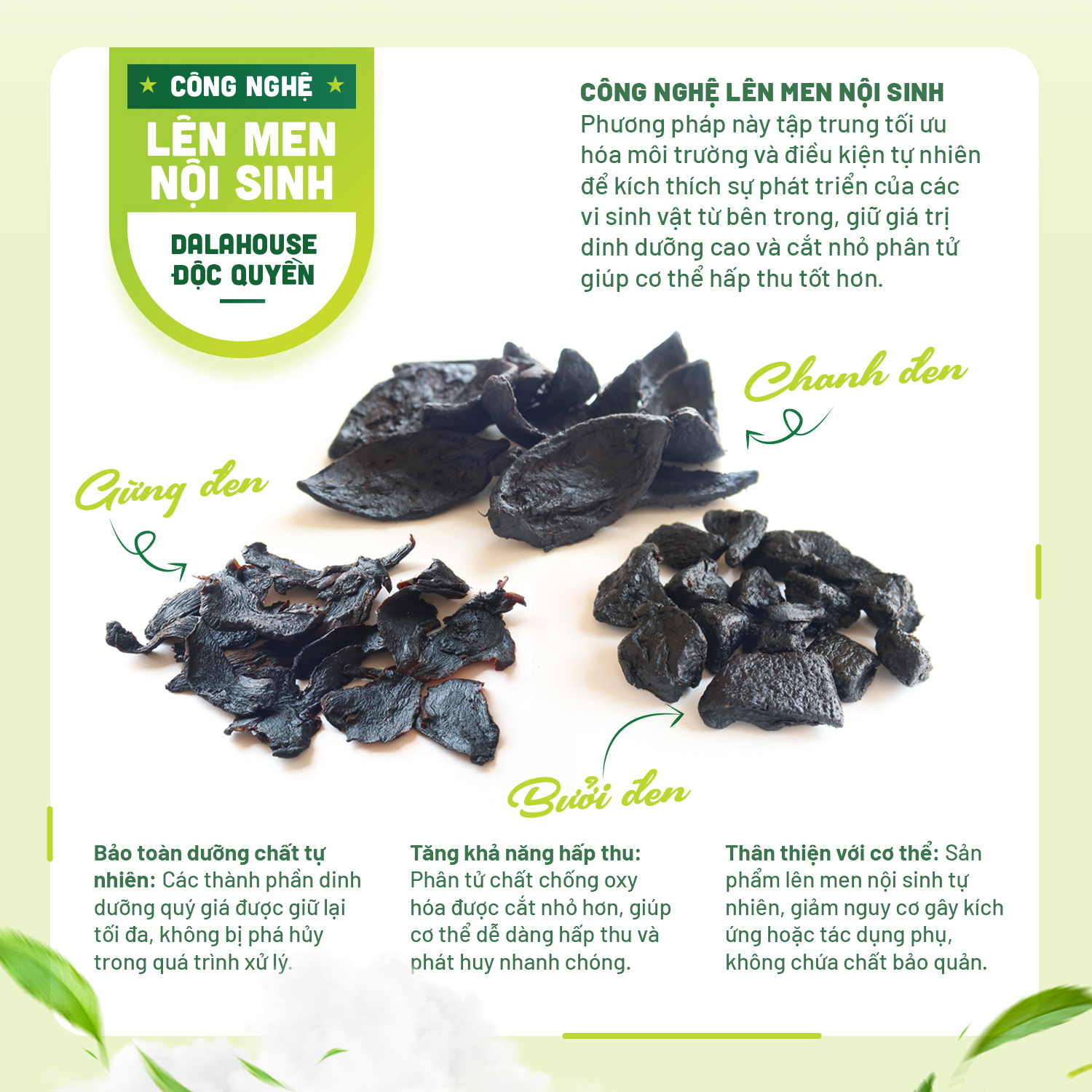 Mô tả Trà detox thải độc Dalahouse hộp 20 gói x 2.5g thải độc an toàn hỗ trợ giảm cân thanh lọc - 2