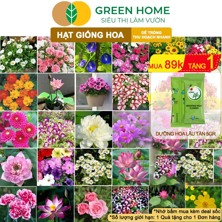 Các loại hạt giống hoa GreenHome
