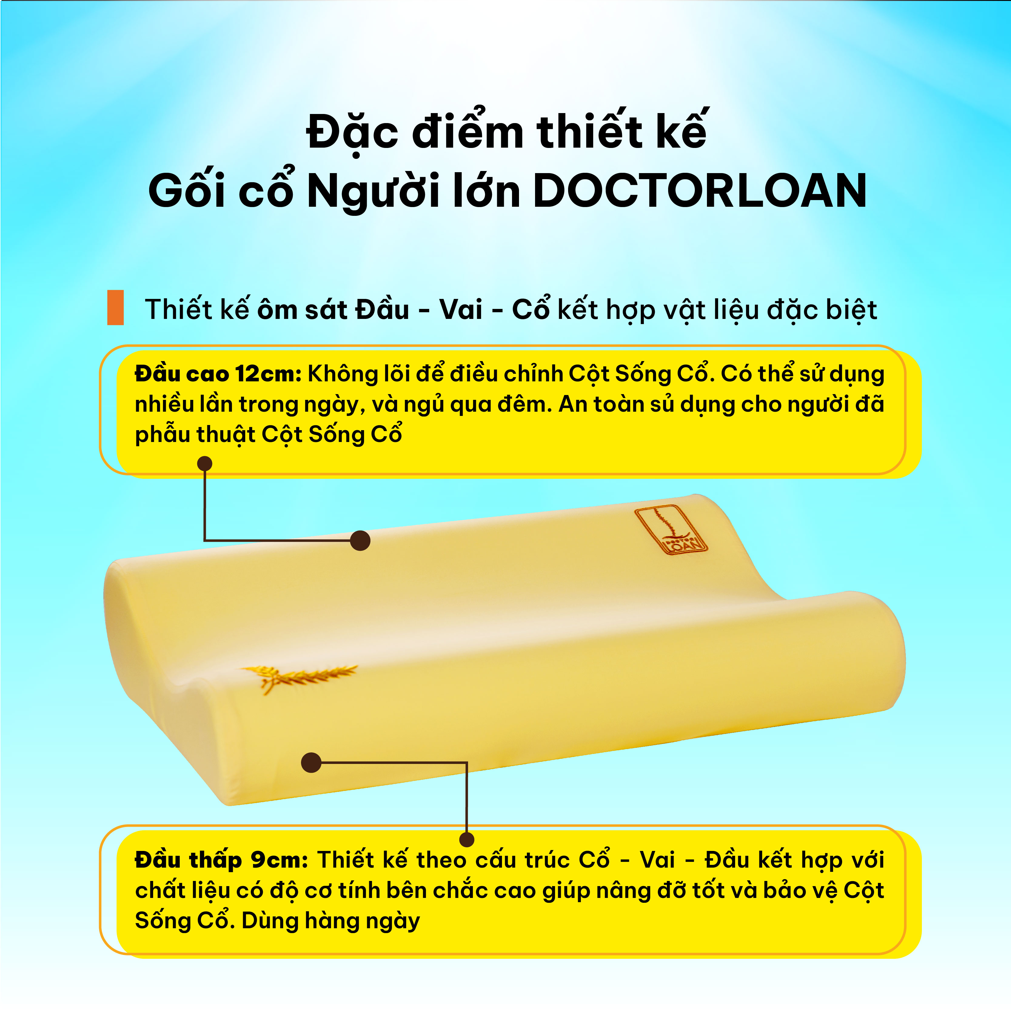 Mô tả Gối cổ người lớn DOCTORLOAN giữ đường cong sinh lý bảo vệ cột sống cổ - 2