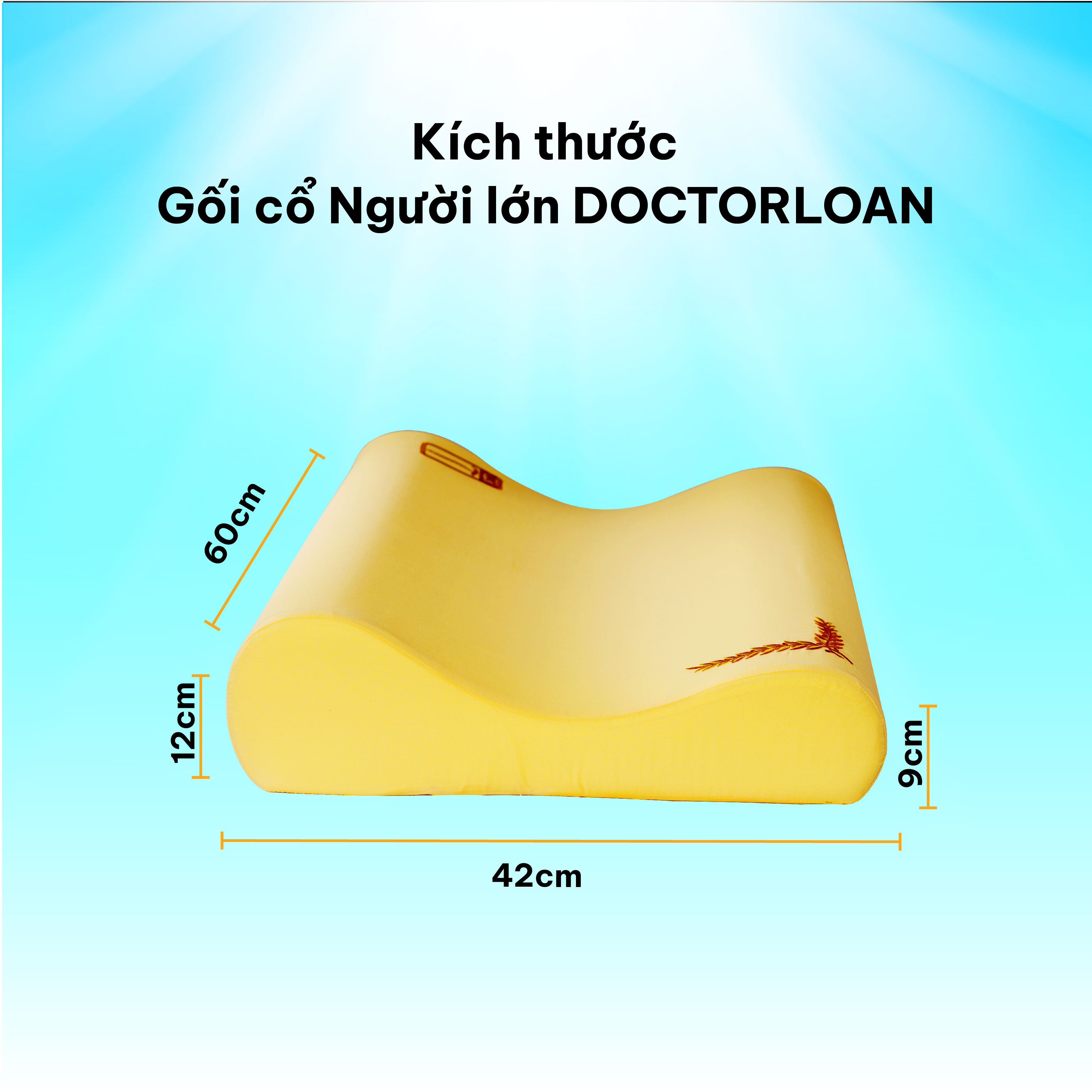 Mô tả Gối cổ người lớn DOCTORLOAN giữ đường cong sinh lý bảo vệ cột sống cổ - 5
